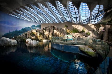 Biodome zoo montreal. Things To Know About Biodome zoo montreal. 
